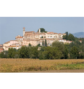 upload/monterchi1.jpg